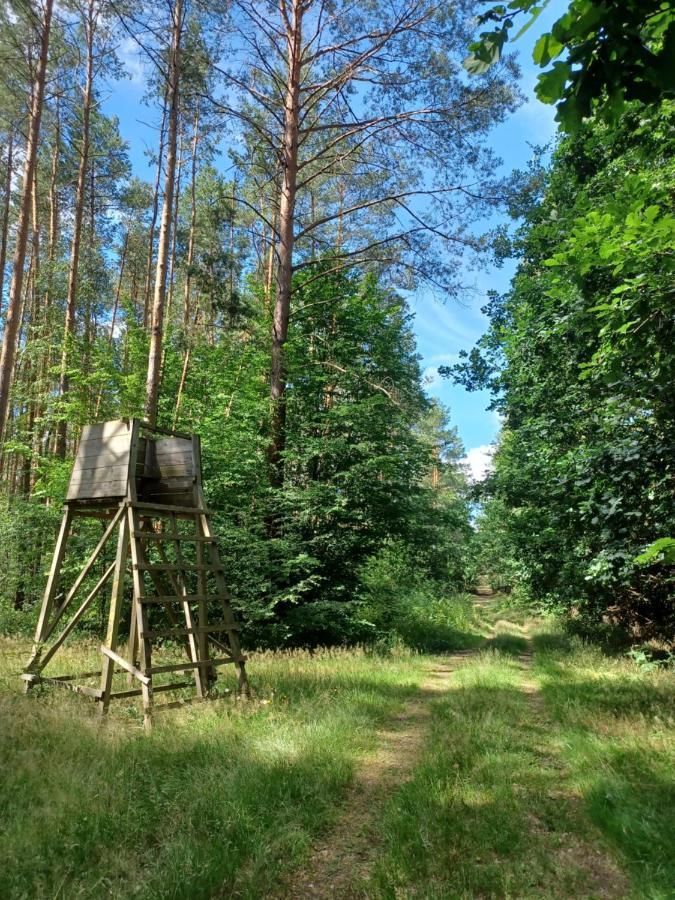 Waldblick Villa Cavertitz Exteriör bild