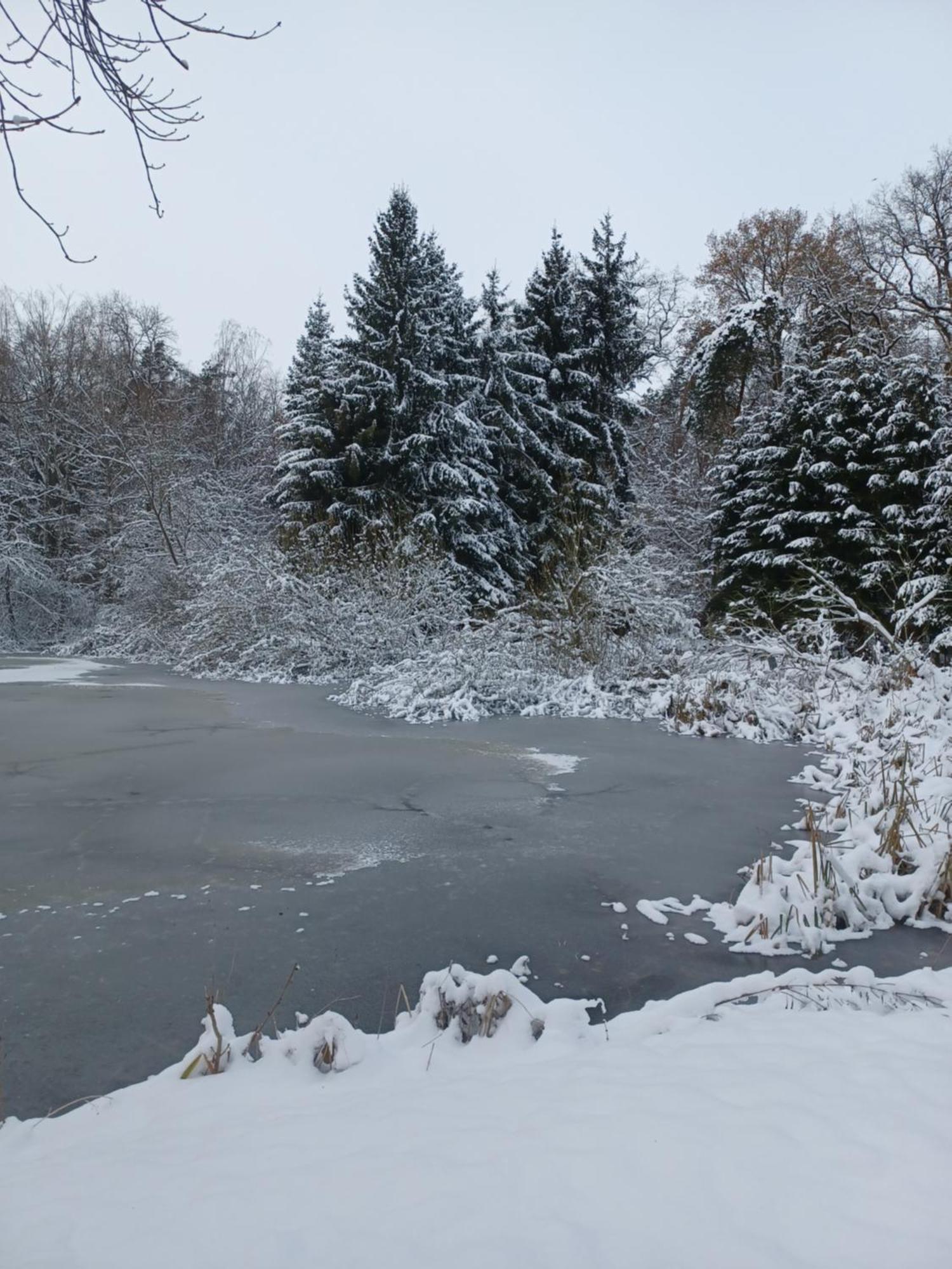 Waldblick Villa Cavertitz Exteriör bild