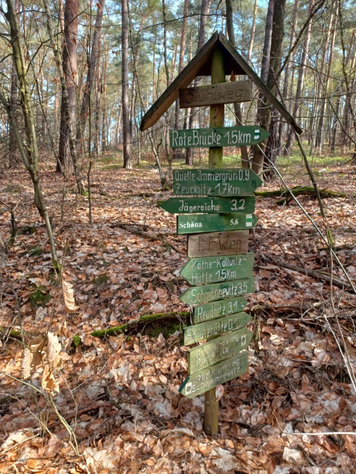 Waldblick Villa Cavertitz Exteriör bild
